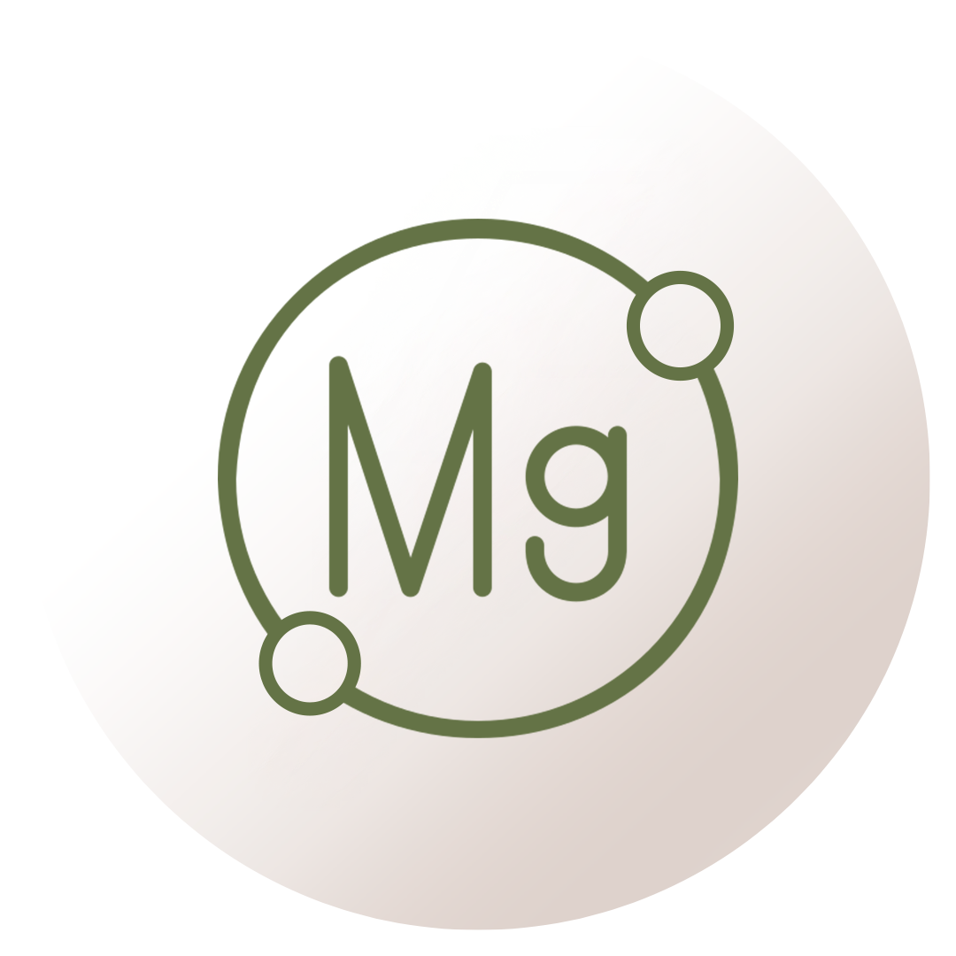 Magnesium-Collection Gade Nutrition