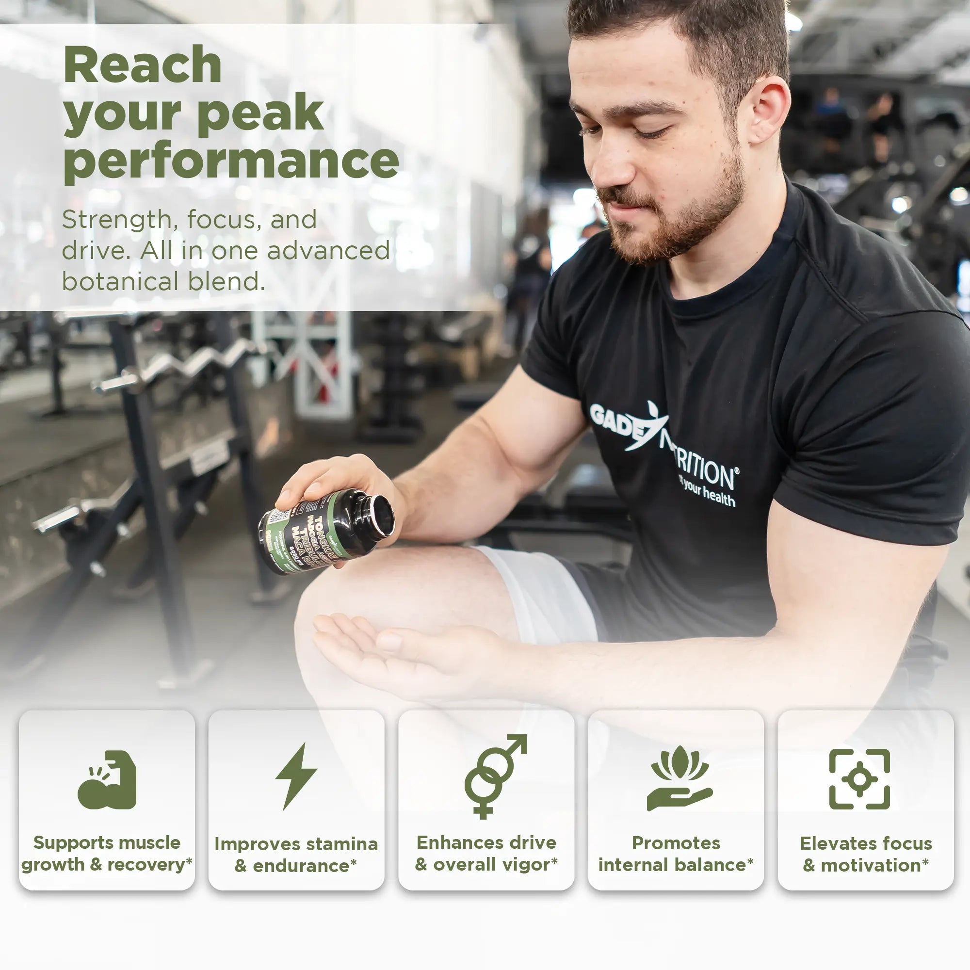 Tongkat, Fadogia Agrestis, Tribulus and Maca Root GADE NUTRITION