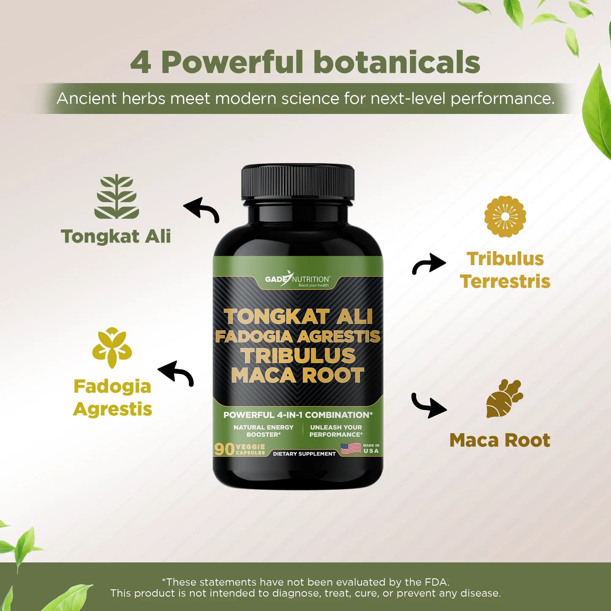 Tongkat, Fadogia Agrestis, Tribulus and Maca Root