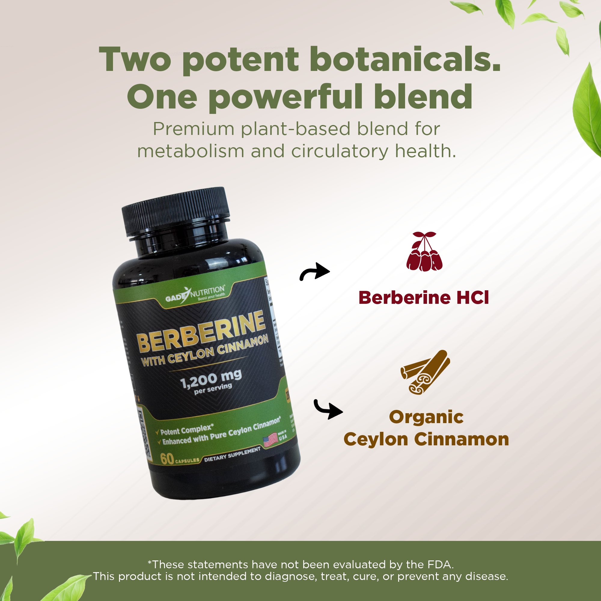 Berberine with Ceylon Cinnamon Gade Nutrition