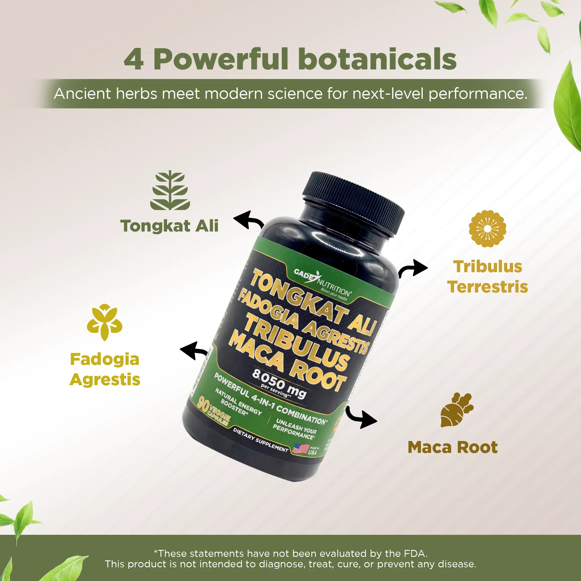Tongkat, Fadogia Agrestis, Tribulus and Maca Root GADE NUTRITION