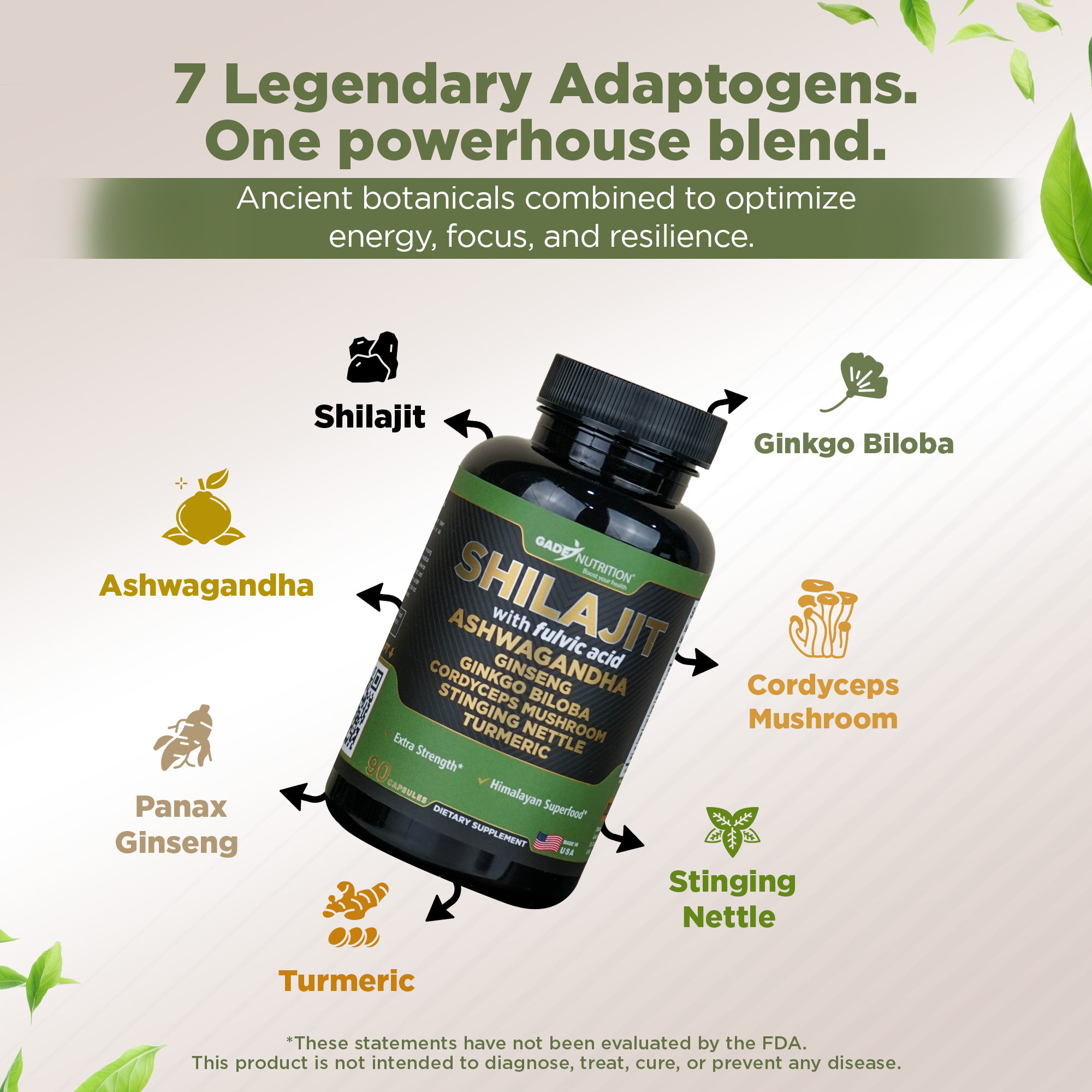 Shilajit Blend 7-in-1 with Ashwagandha, Cordyceps & More Gade Nutrition