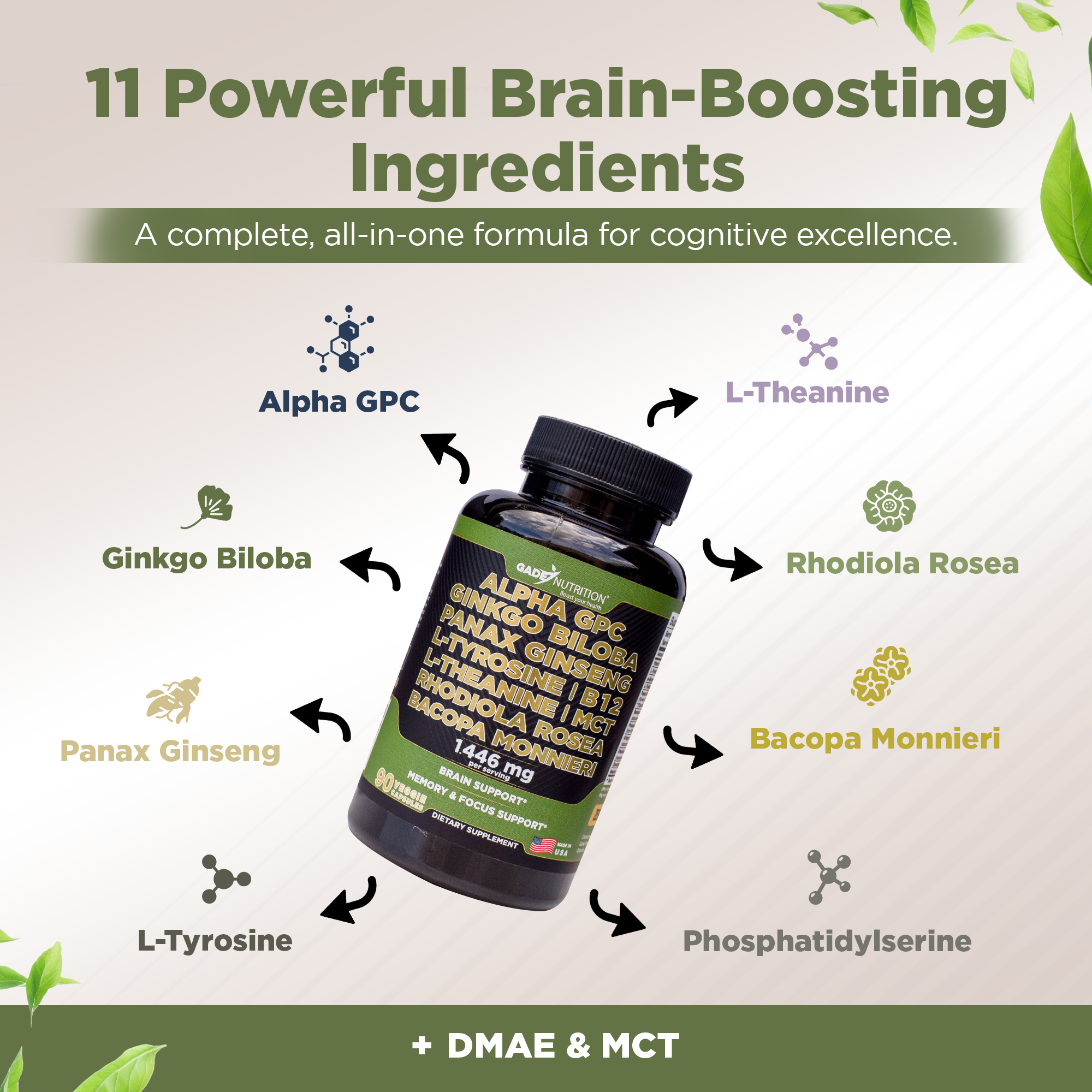 Alpha GPC Blend with Ginkgo Biloba, Ginseng, B12, MCT, Bacopa and More GADE NUTRITION