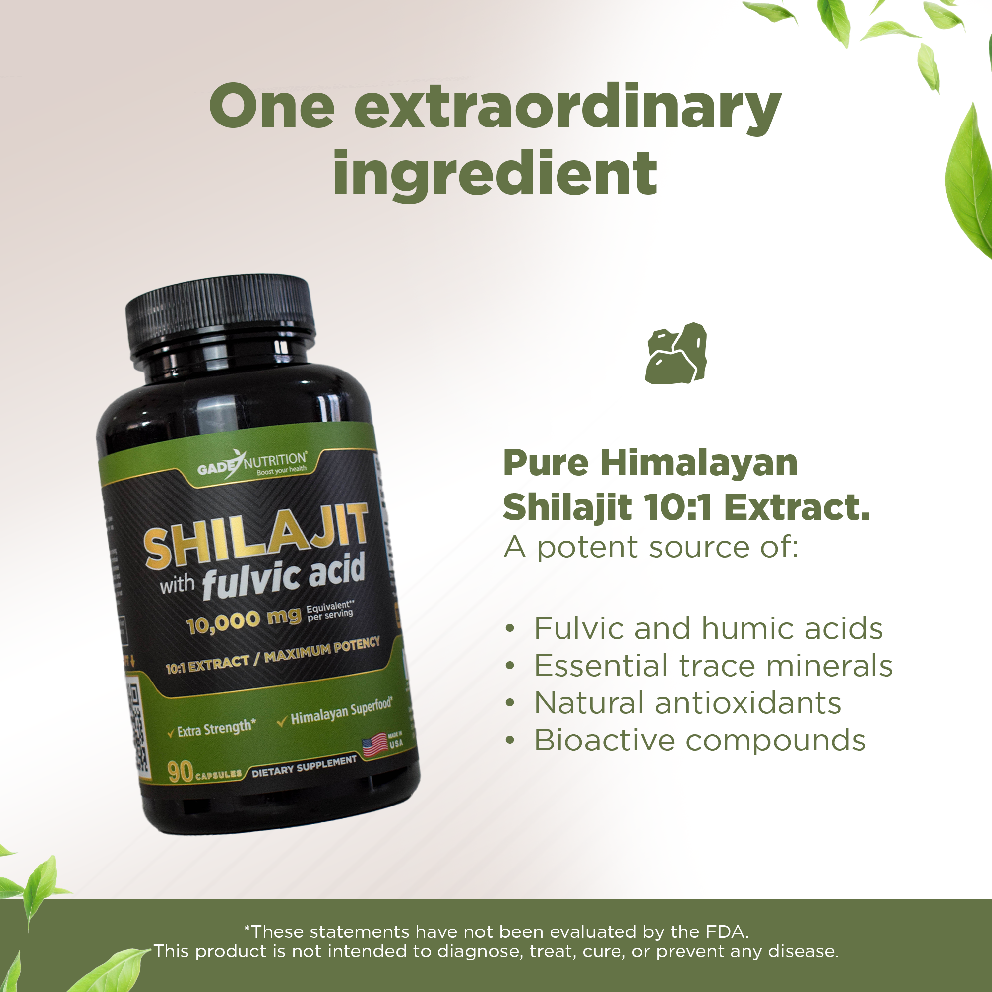 Shilajit 10,000 mg Gade Nutrition