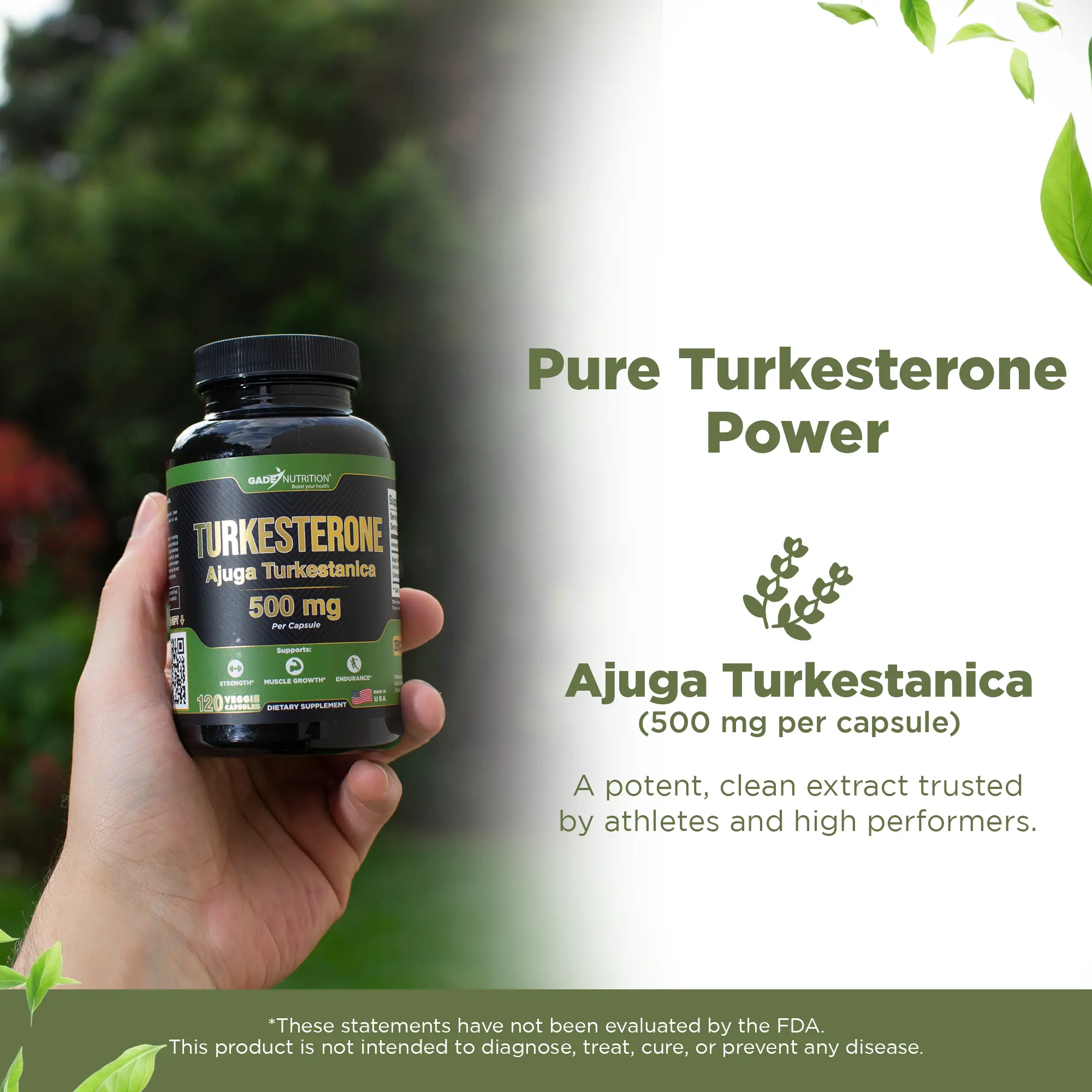 Turkesterone Supplement 500 mg GADE NUTRITION