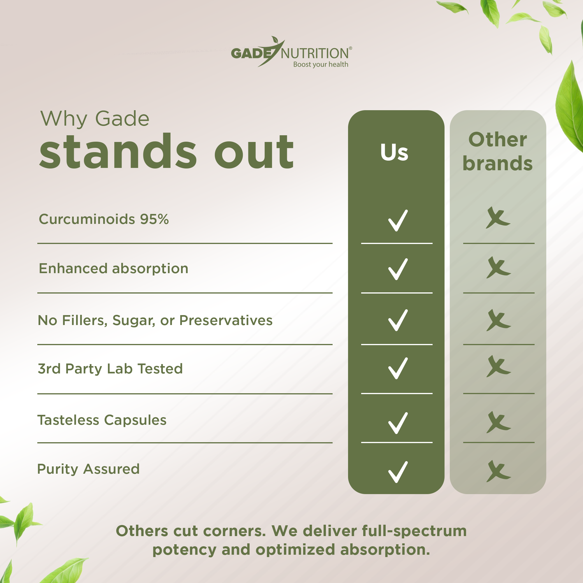 Turmeric with Quercetin & Bromelain Gade Nutrition