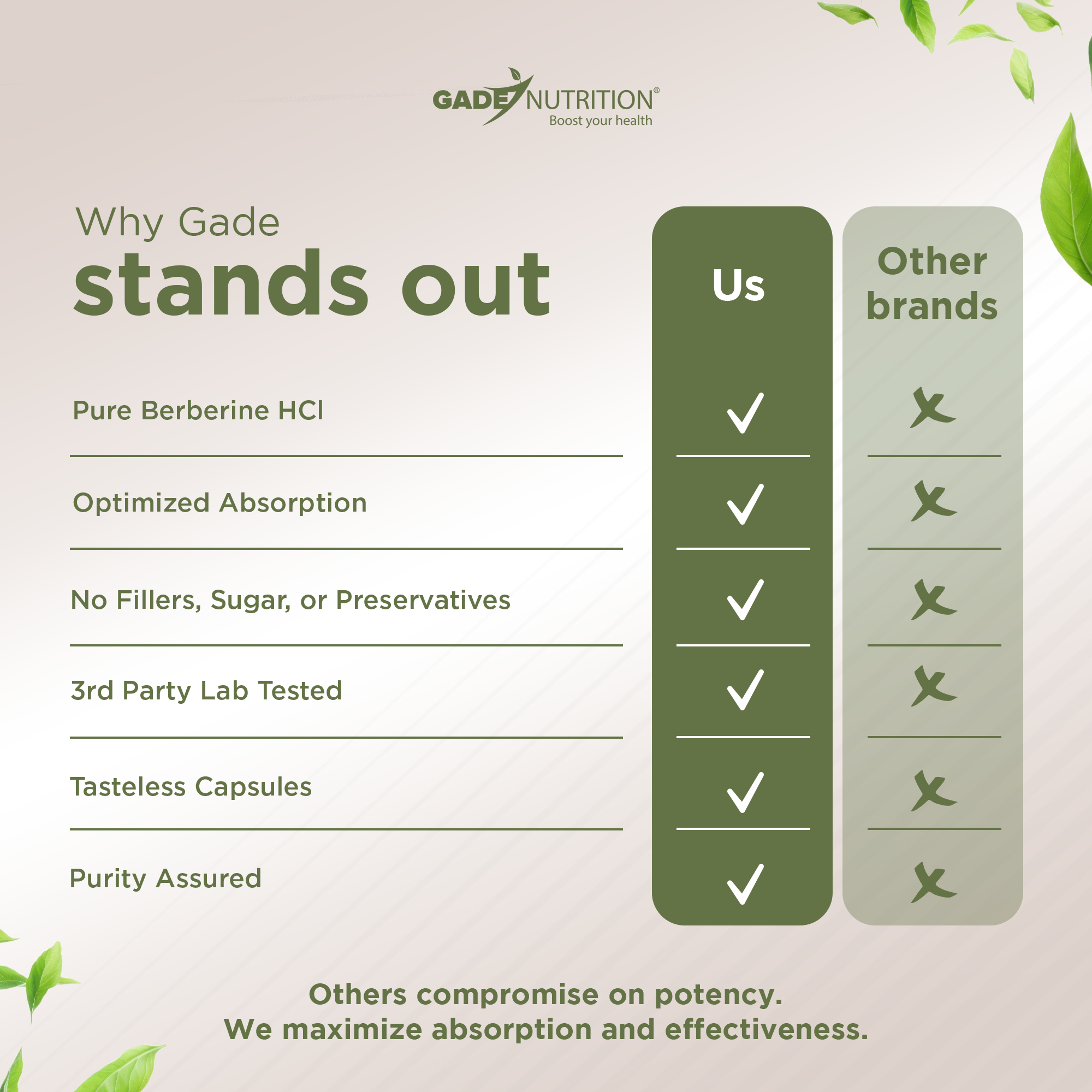 Berberine 1,200 mg Gade Nutrition