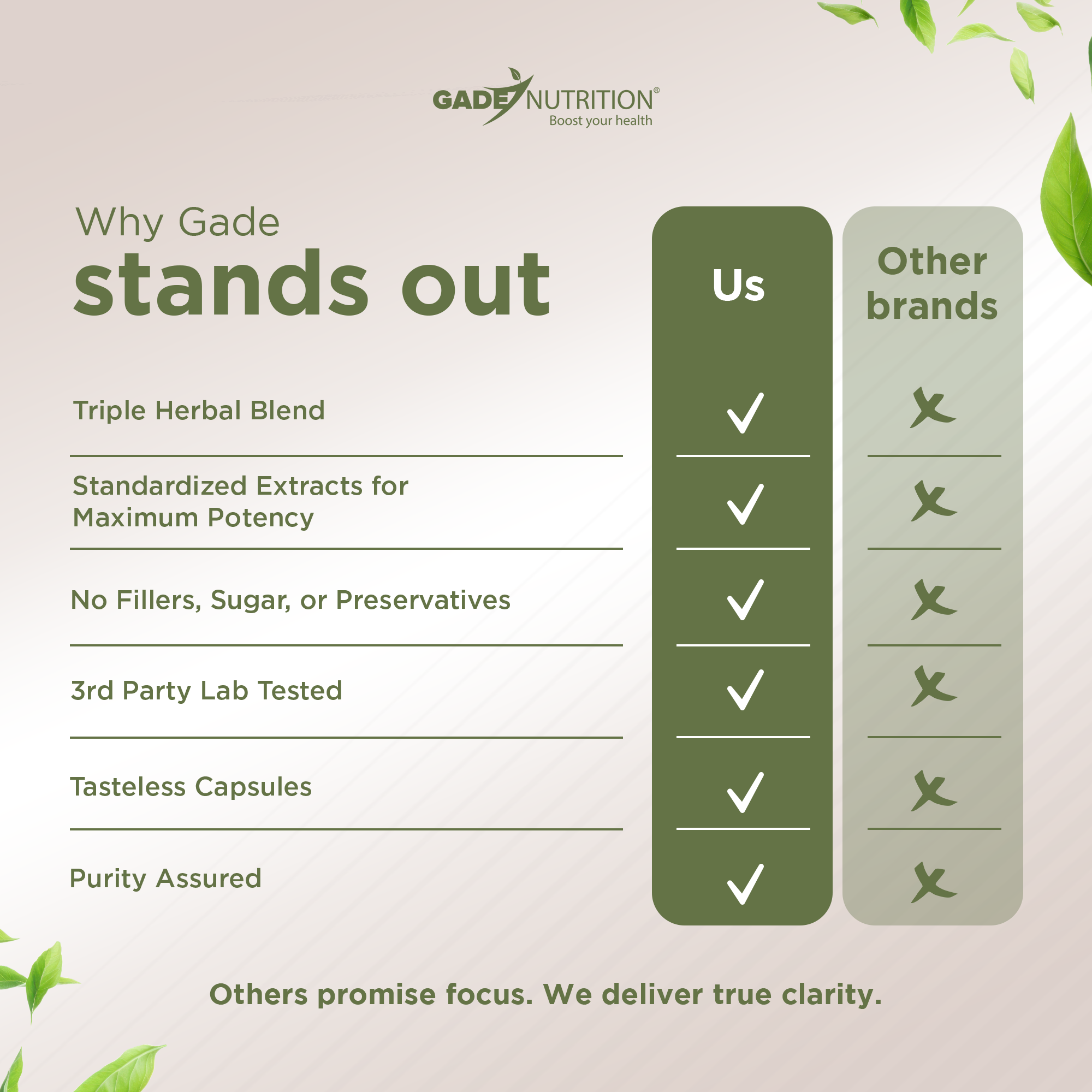 Panax Ginseng with Ginkgo Biloba & Bacopa Monnieri Gade Nutrition