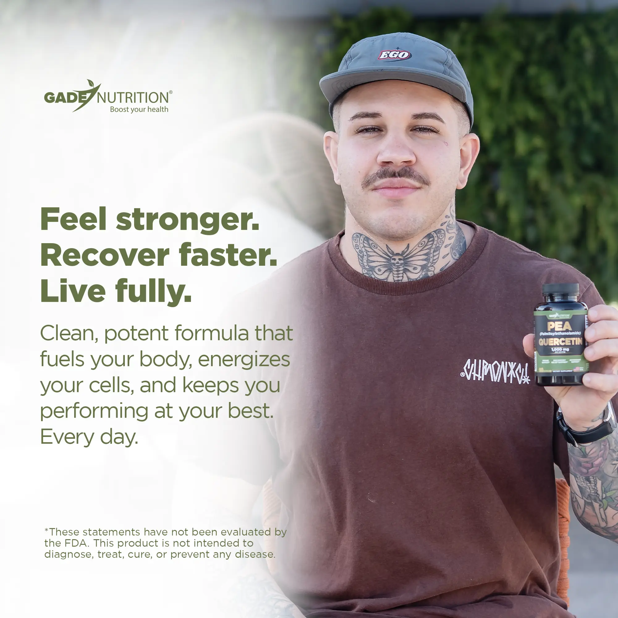 PEA (Palmitoylethanolamide) with Quercetin Phytosome Gade Nutrition