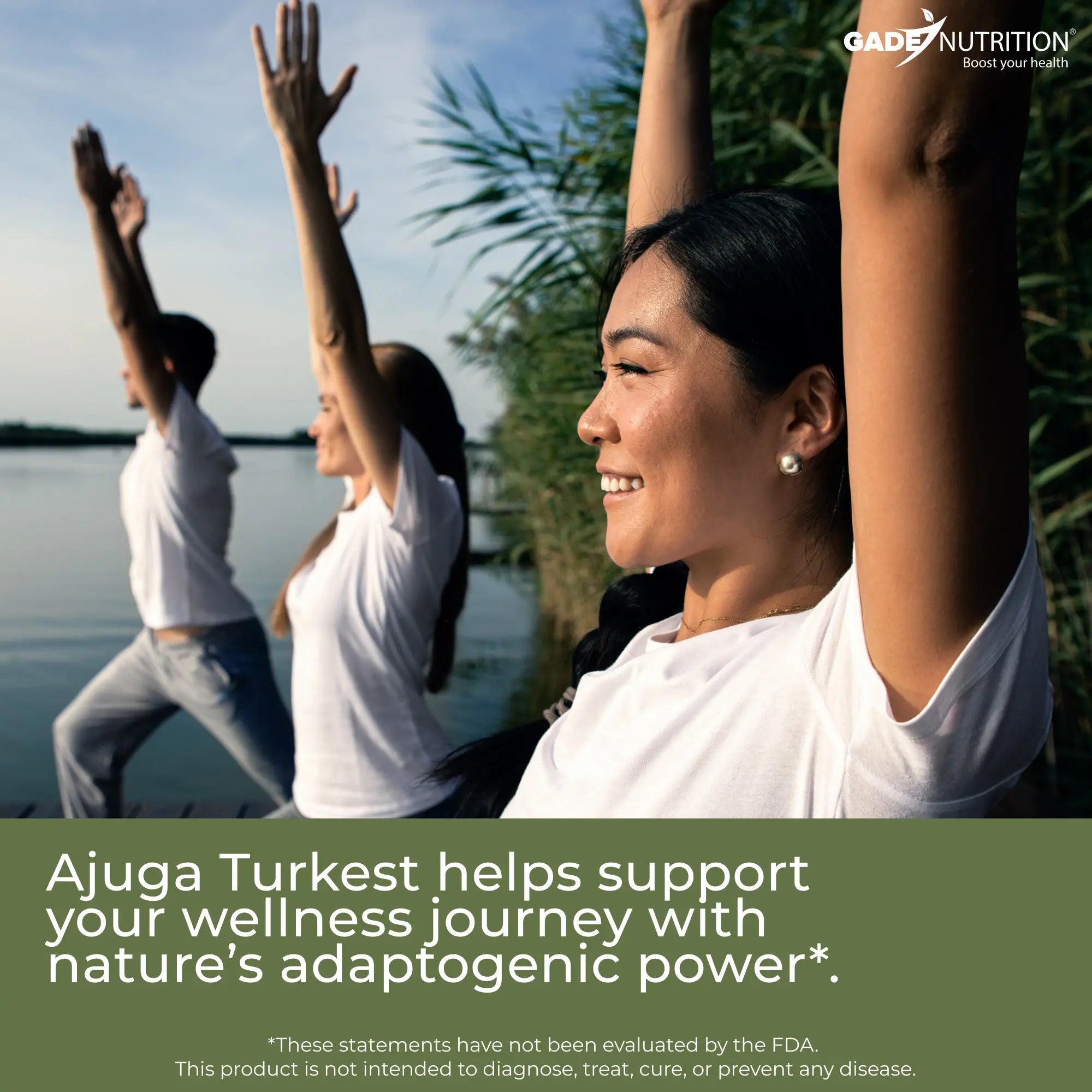 Ajuga Turkest Extract Gade Nutrition