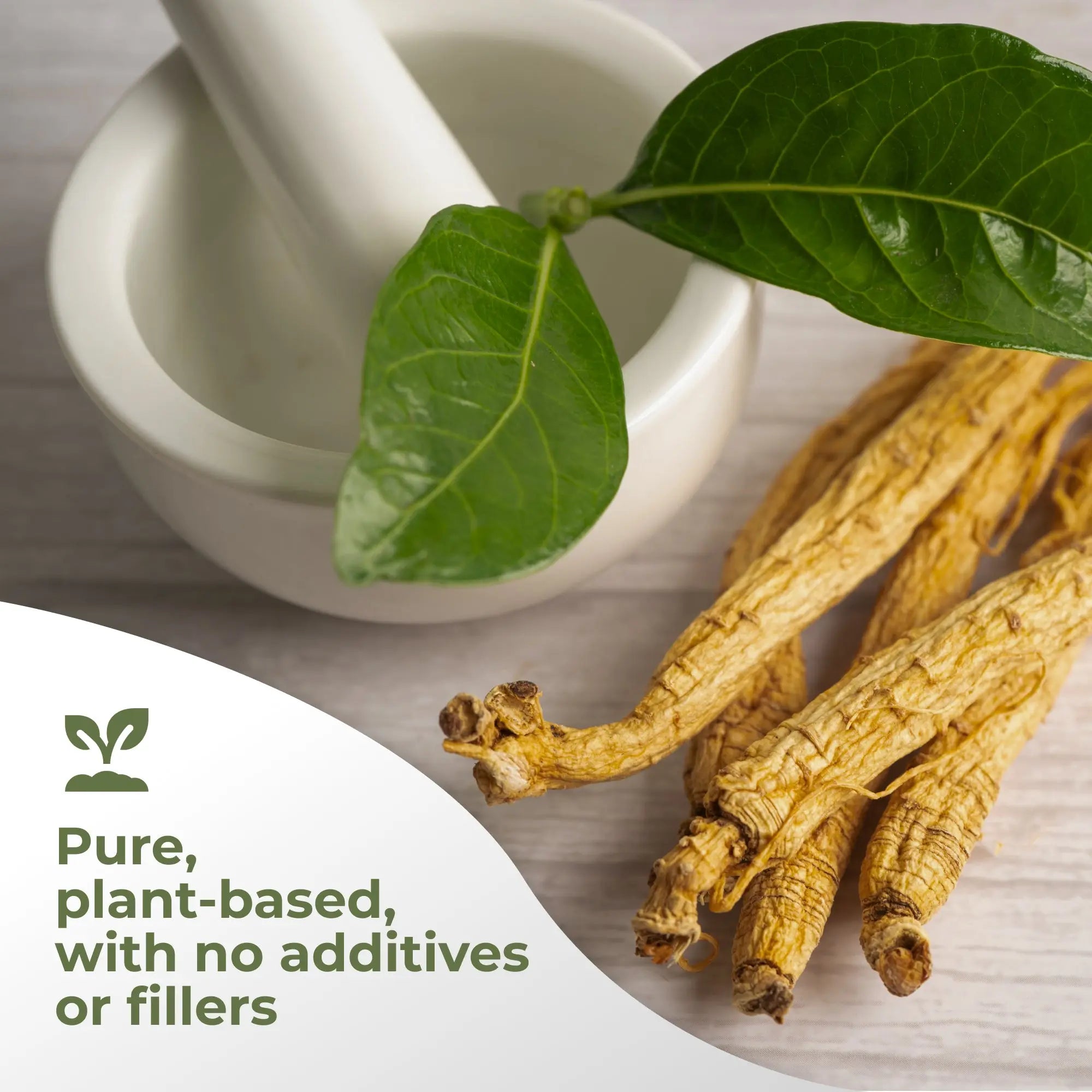 American Ginseng Extract Gade Nutrition
