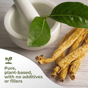 American Ginseng Extract Gade Nutrition