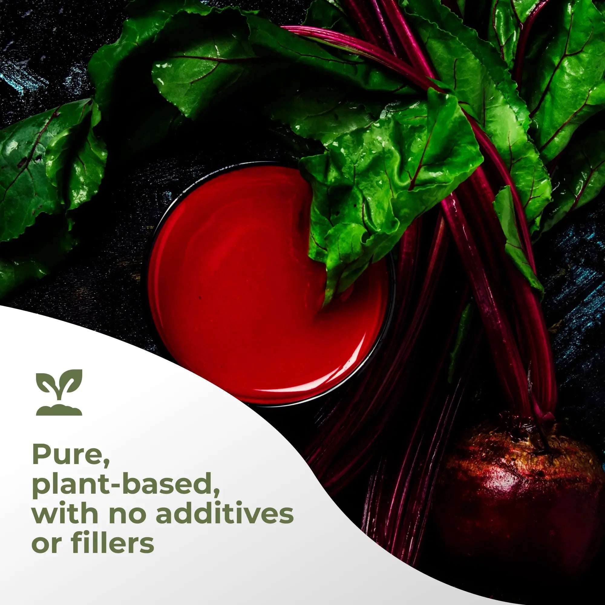 Hero Beets Powder Gade Nutrition