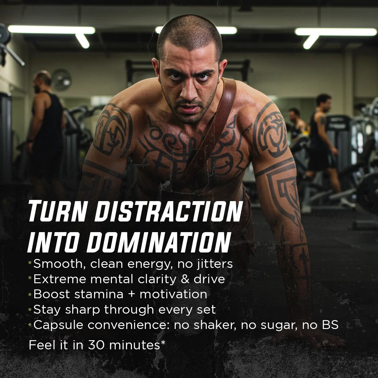 Warrior Focus Gade Nutrition