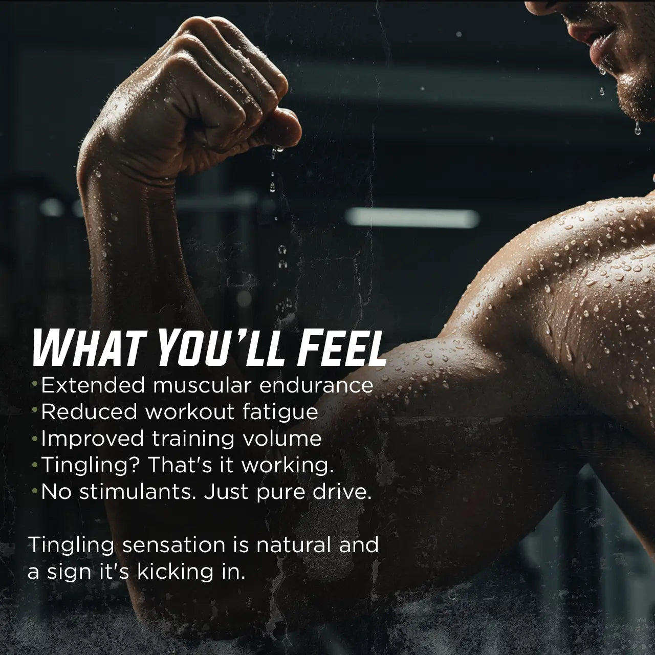 Warrior Endure - Beta-Alanine Gade Nutrition