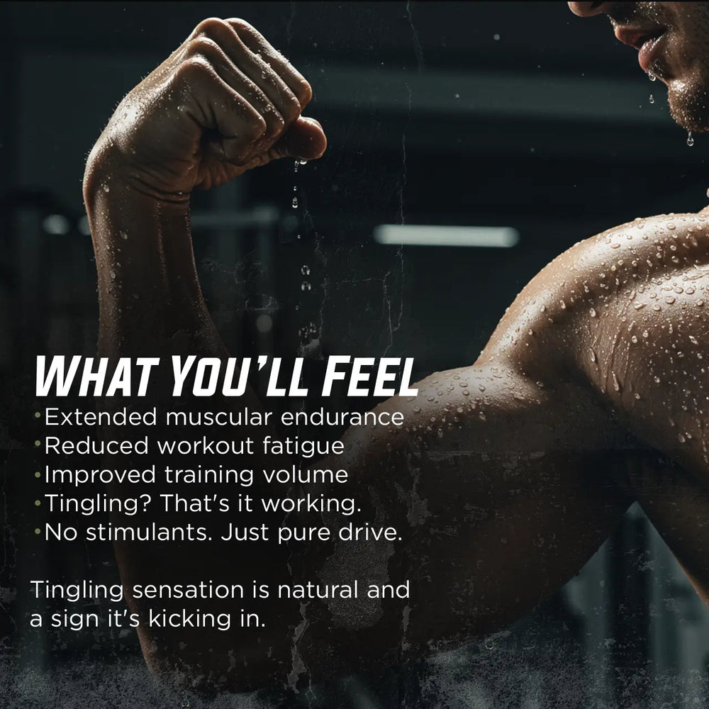 Warrior Endure - Beta-Alanine Gade Nutrition
