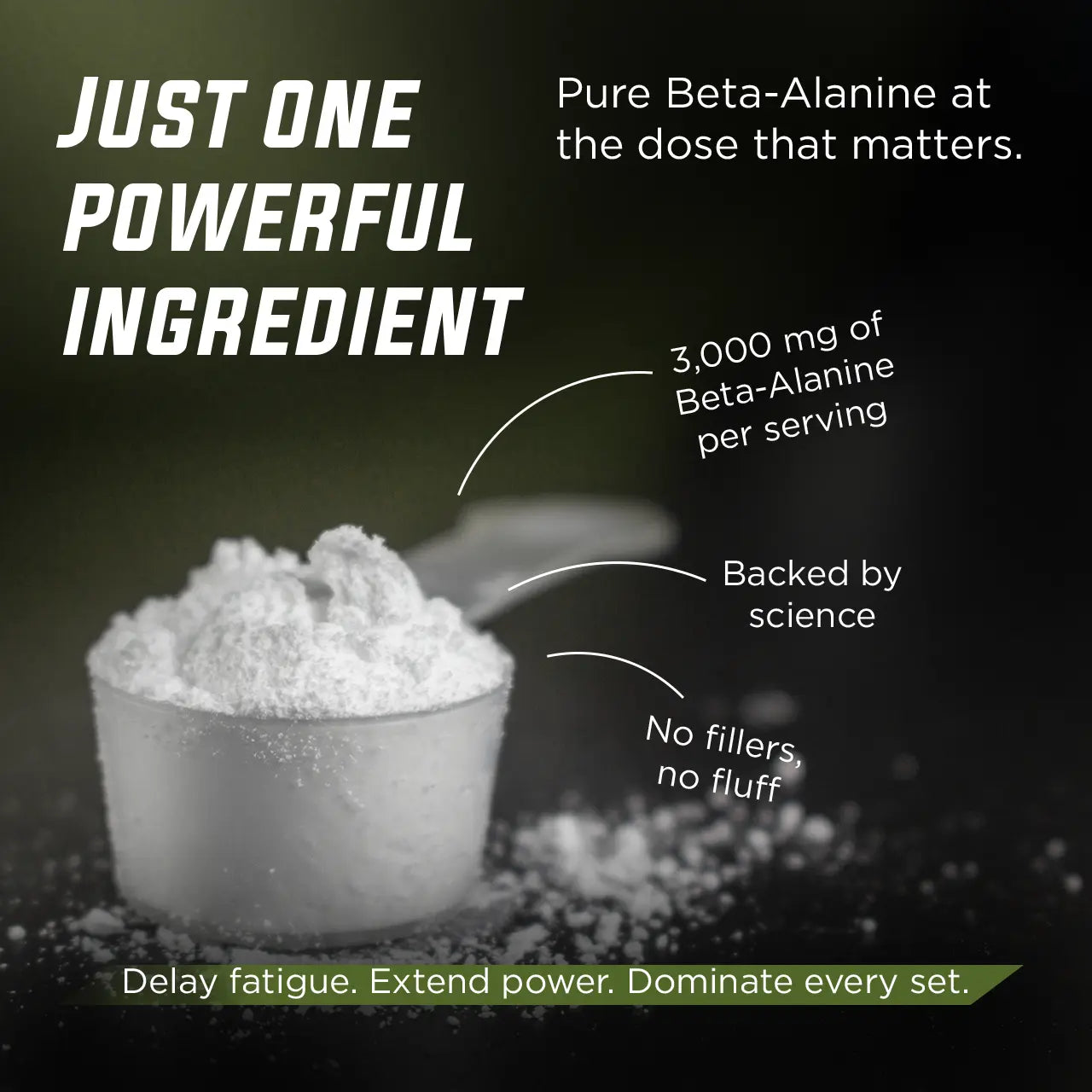 Warrior Endure - Beta-Alanine Gade Nutrition