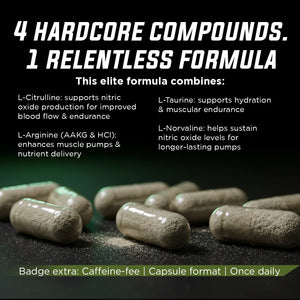 Warrior Pulse Gade Nutrition
