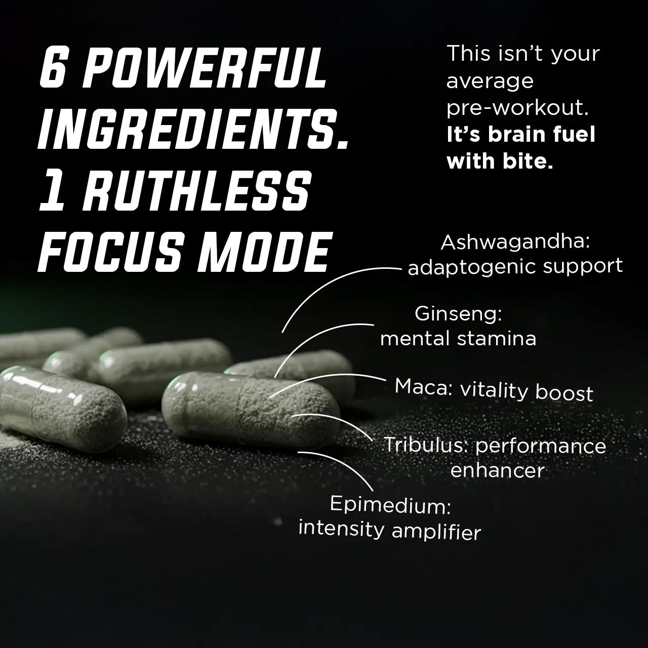 Warrior Focus Gade Nutrition