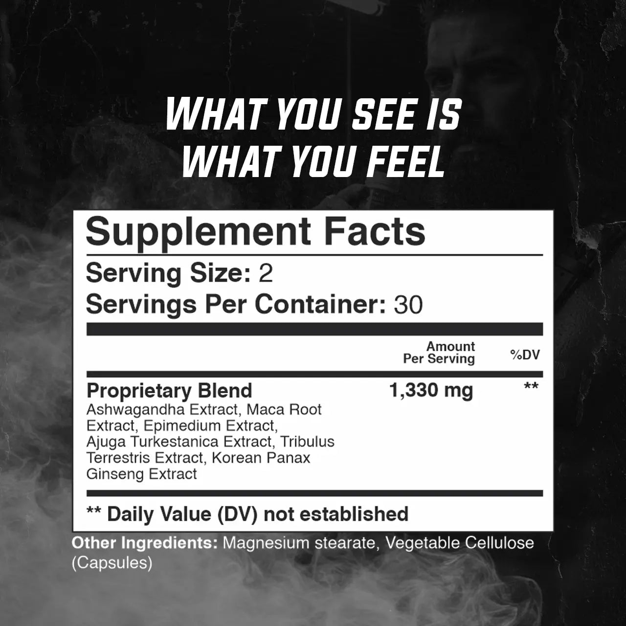 Warrior Focus Gade Nutrition