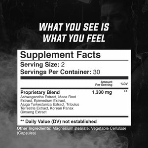 Warrior Focus Gade Nutrition