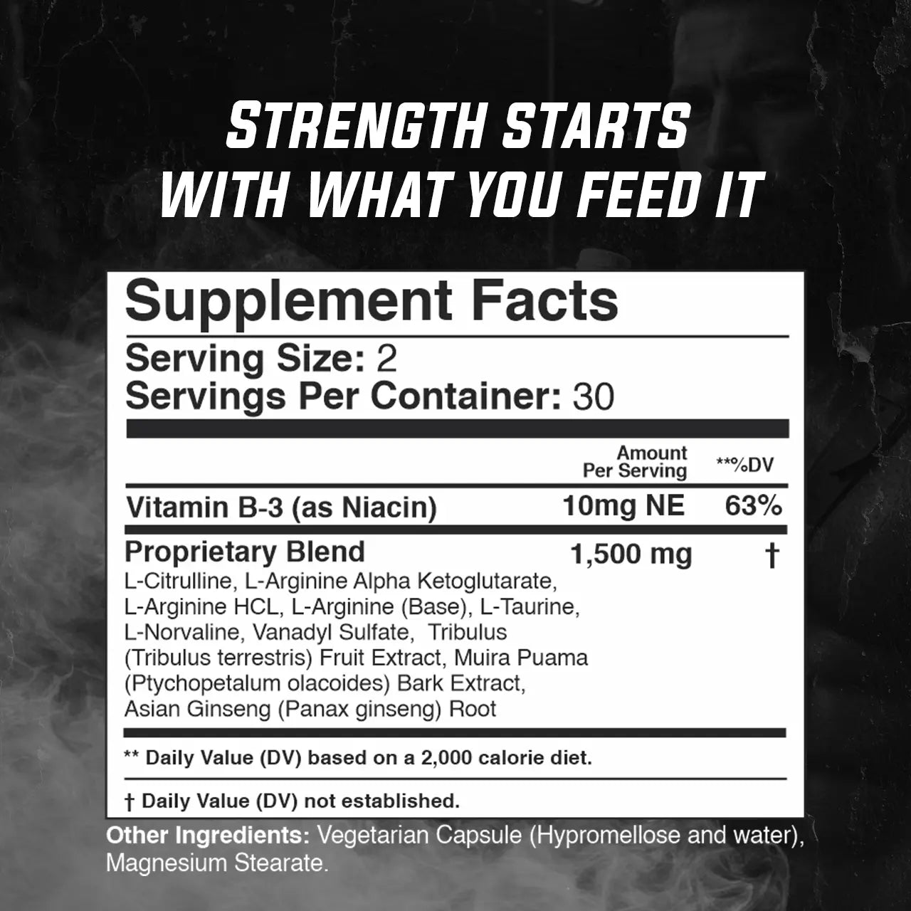 Warrior Pulse Gade Nutrition