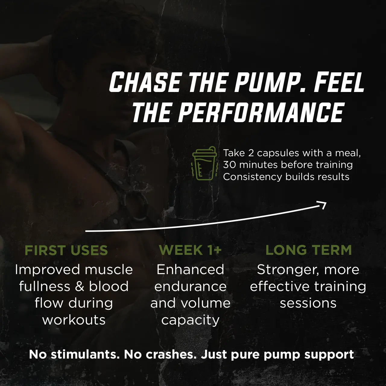 Warrior Pulse Gade Nutrition