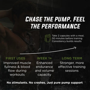 Warrior Pulse Gade Nutrition