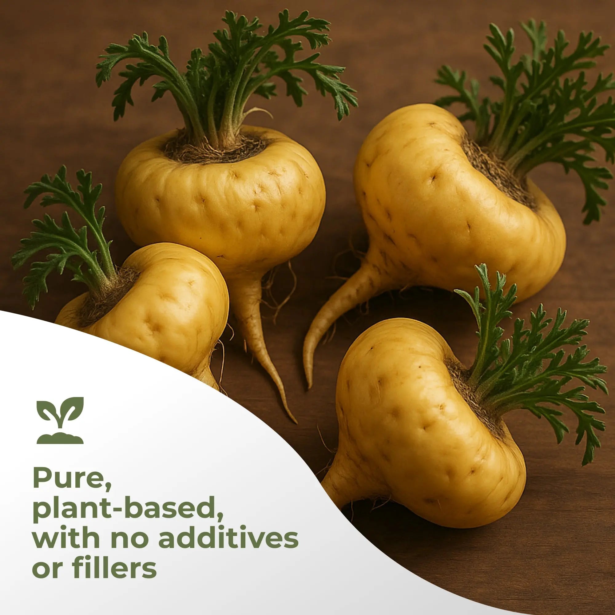Maca Root Gade Nutrition