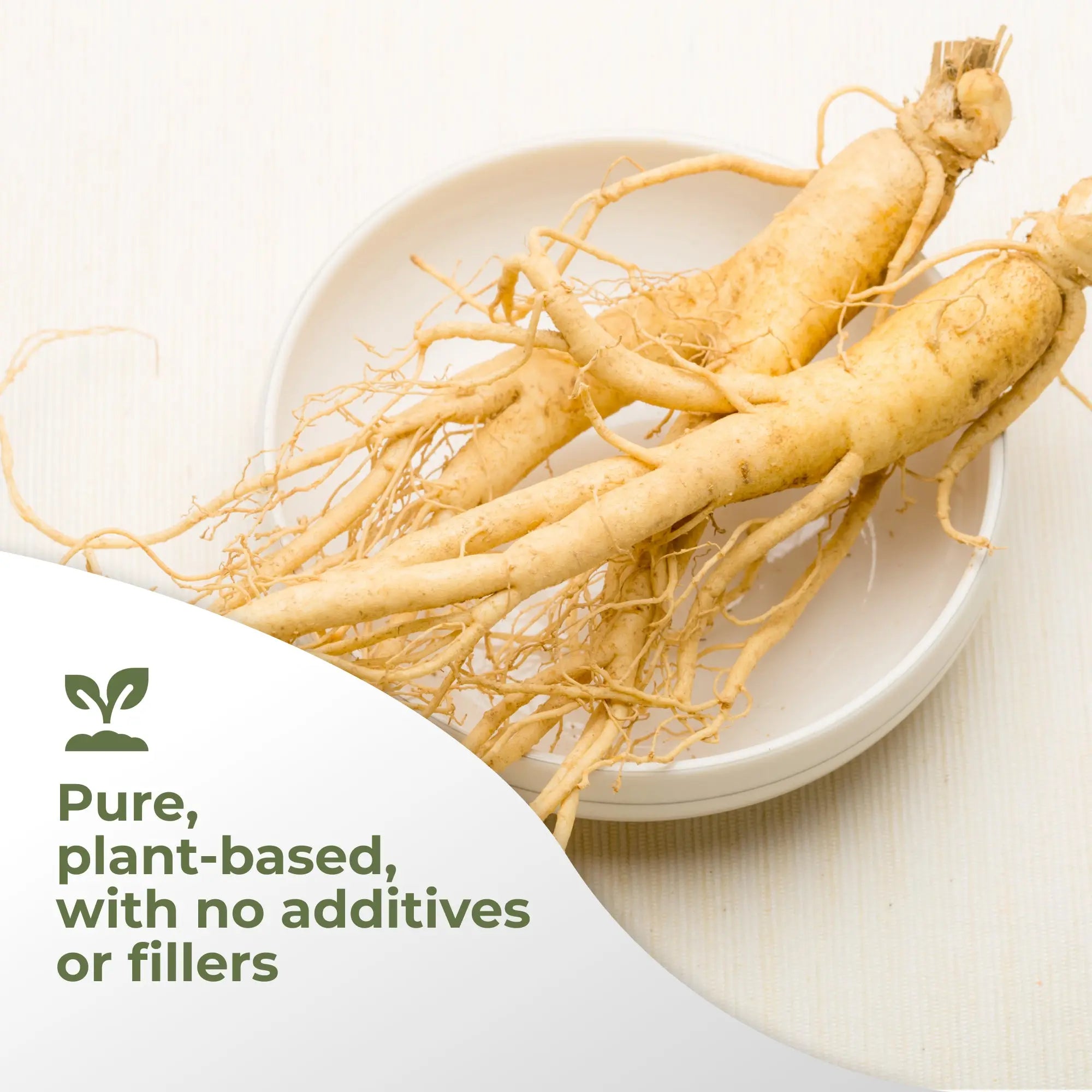 Panax Ginseng Extract Gade Nutrition