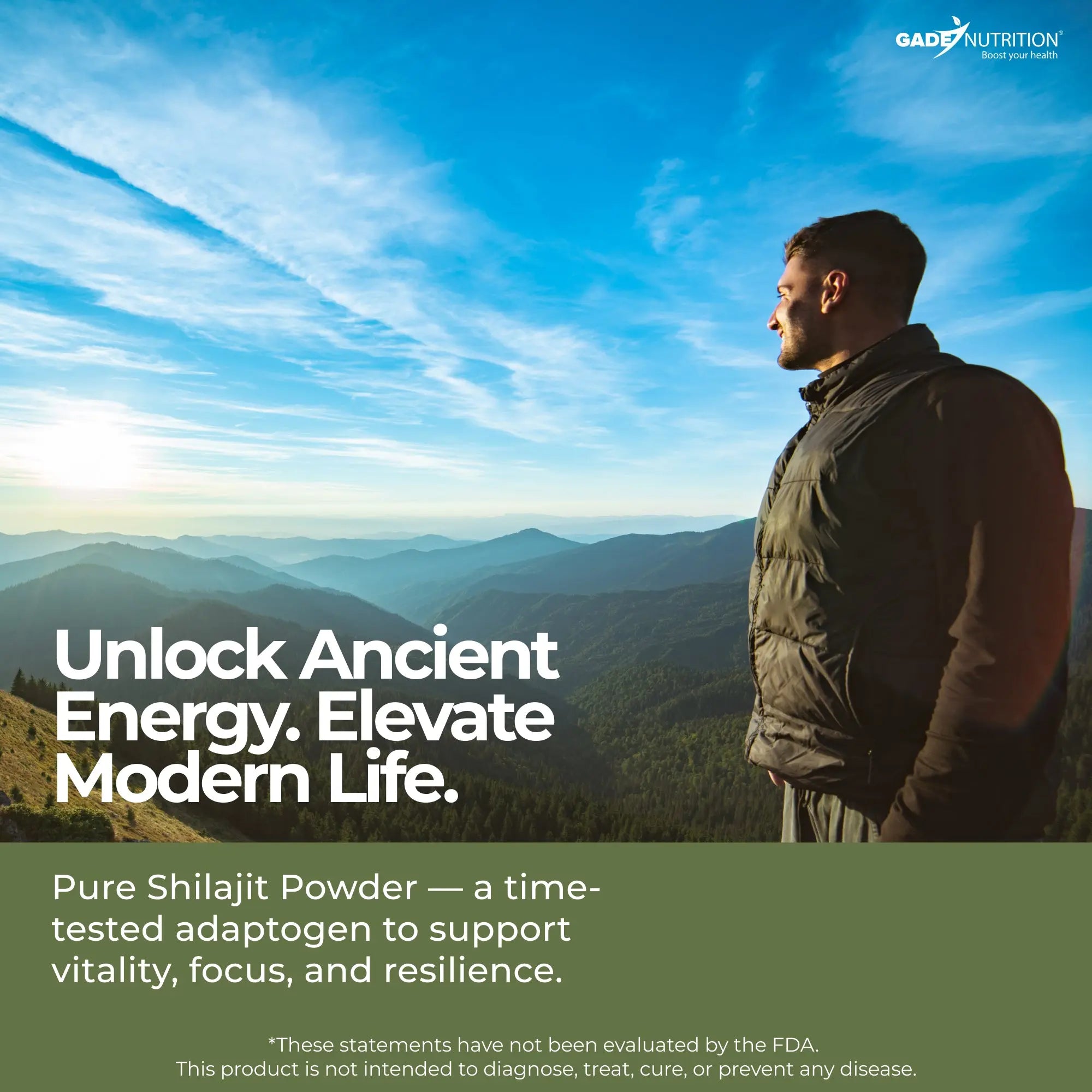 Shilajit Extract Gade Nutrition
